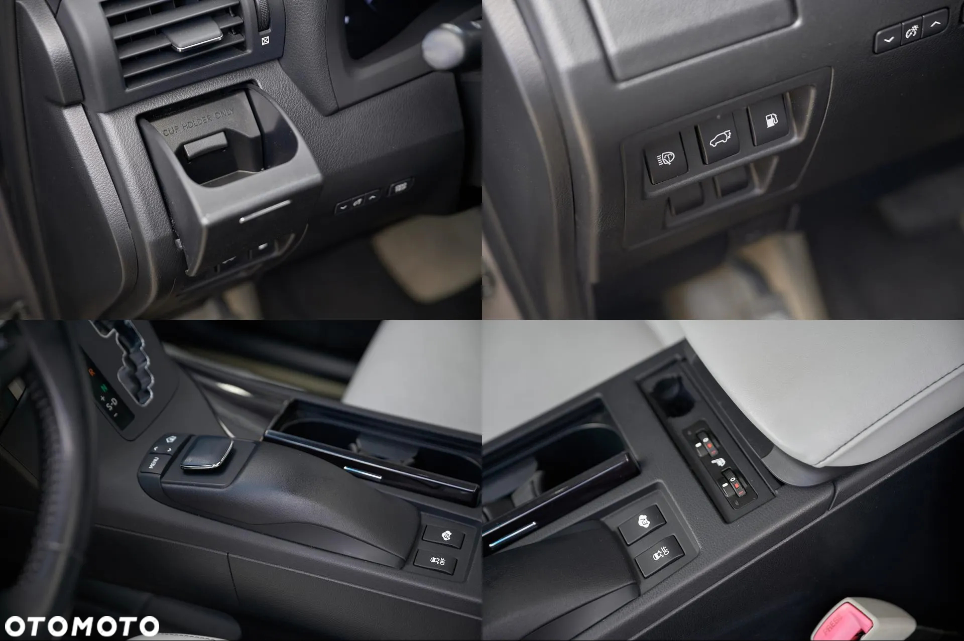 Lexus RX 450h (hybrid) Luxury Line - 22