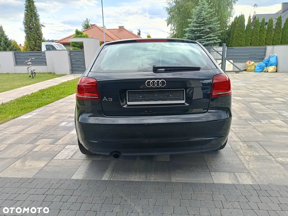 Audi A3 3-drzwiowe 1.6 Limited Edition - 21