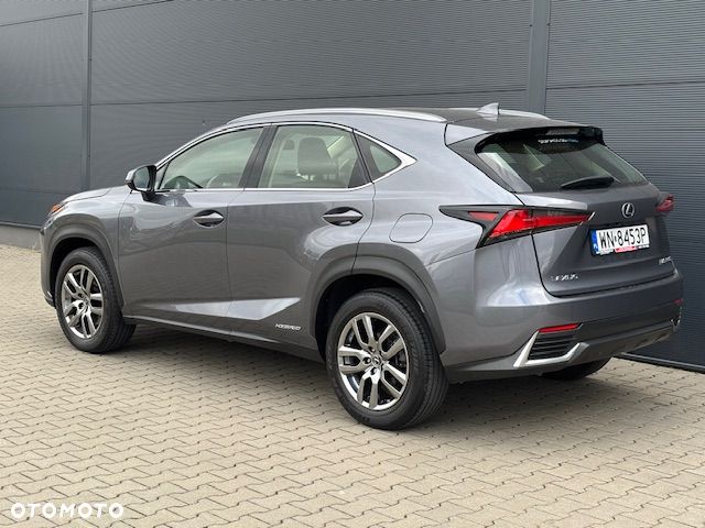 Lexus NX - 6