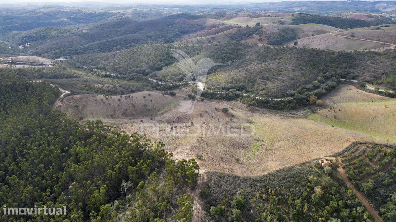 Herdade em Luzianes Gare com 57,2250 hectares e duas ruínas - Grande imagem: 2/30
