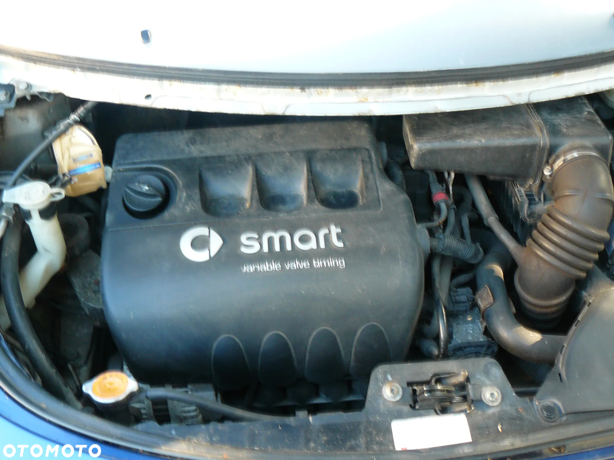 Smart Forfour - 17