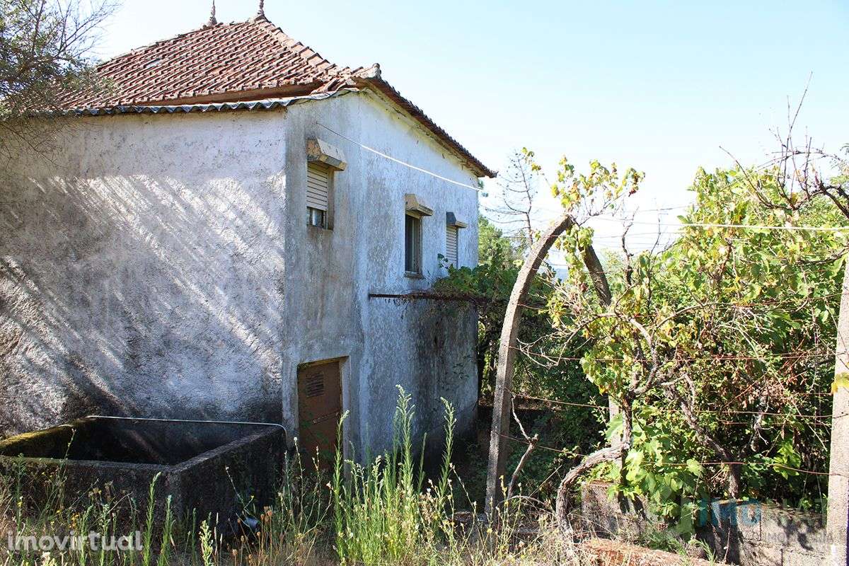 Quinta T3 - Grande imagem: 4/46