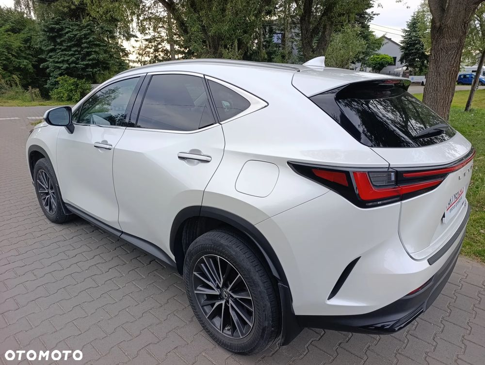 Lexus NX 350h - 7