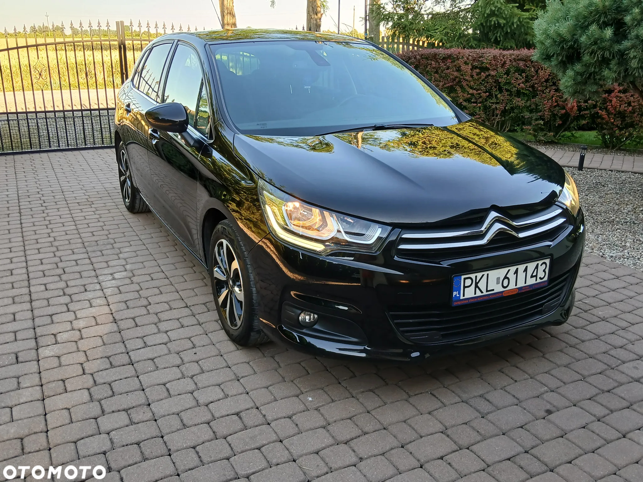 Citroën C4 - 19