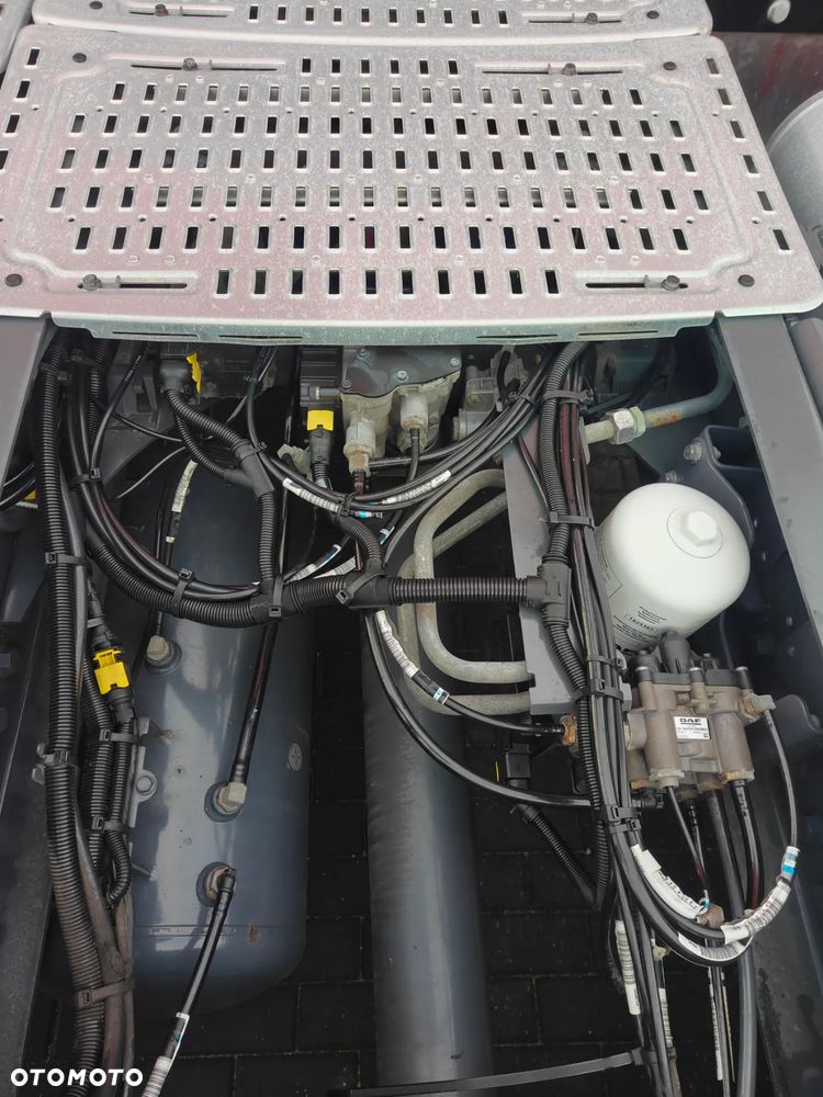 DAF XG+ PLUS 480 FT - 28