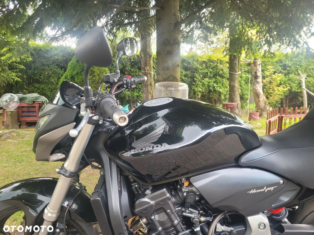 Honda Hornet - 19