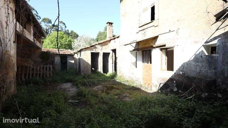 Moradia para Restauro com 4 Frações. Excelente Oportunidade em Anta - Grande imagem: 2/9