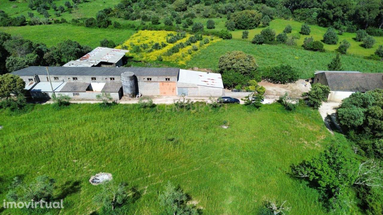 Terreno Rústico com viabilidade de construção - Grande imagem: 2/12