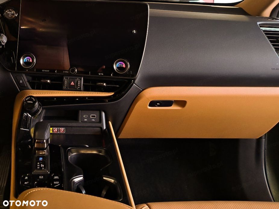 Lexus NX - 13