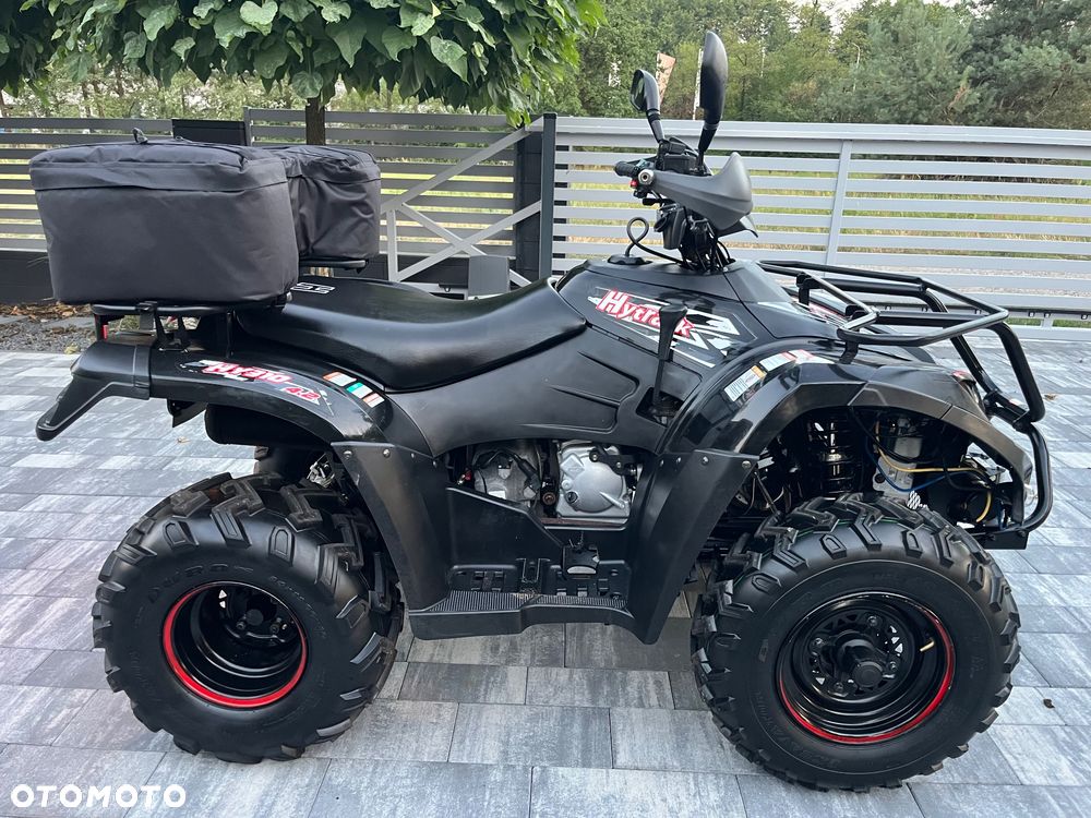 Linhai 300 - 5