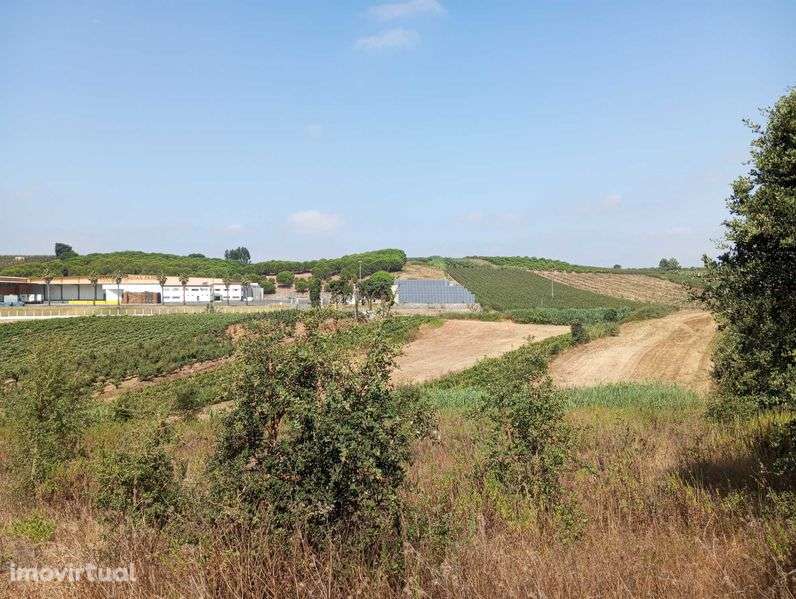 Terreno agrícola - Grande imagem: 5/6