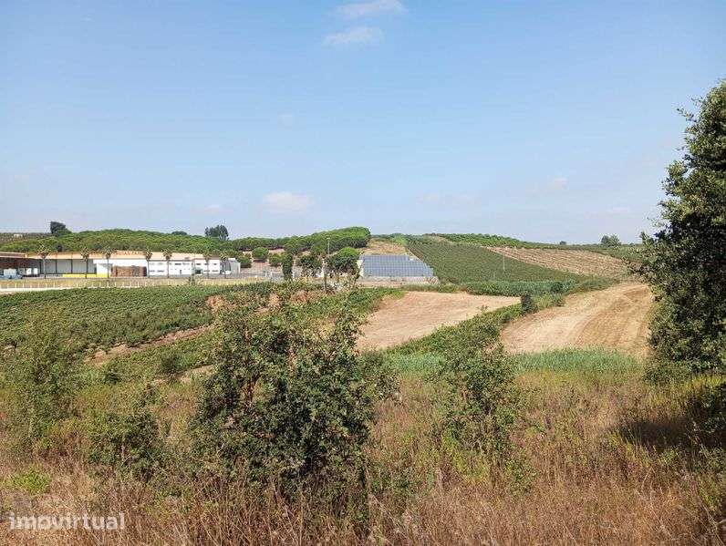 Terreno agrícola - Grande imagem: 5/6
