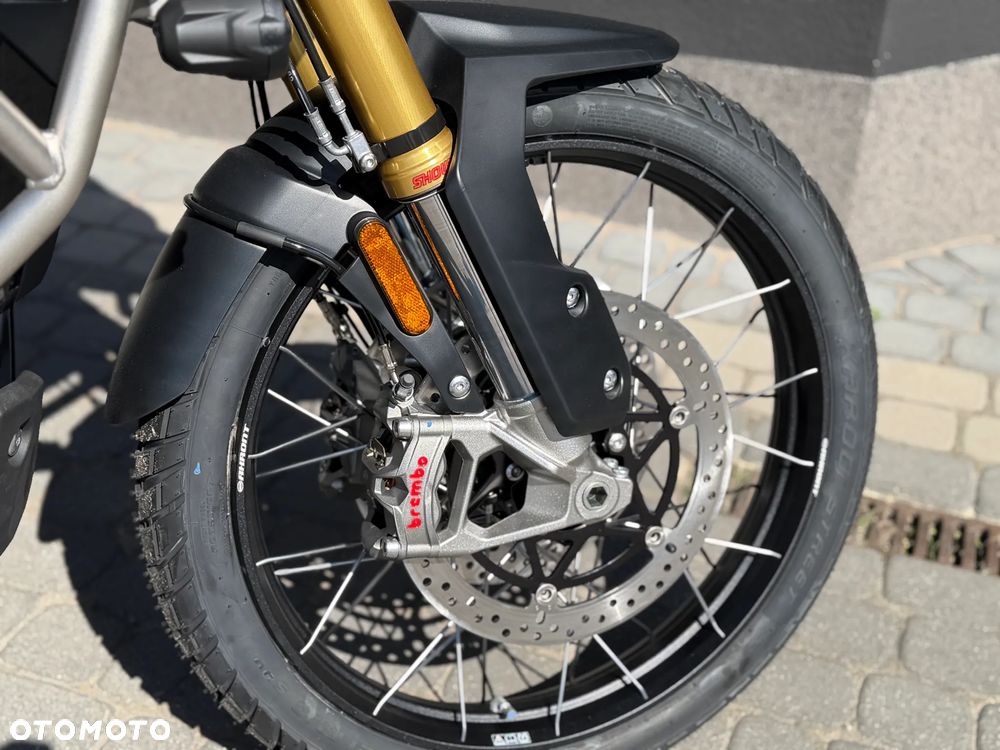 Triumph Tiger - 11