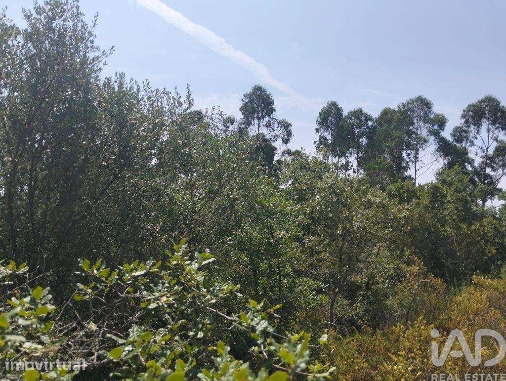 Terreno em Chãos de 1760,00 m2