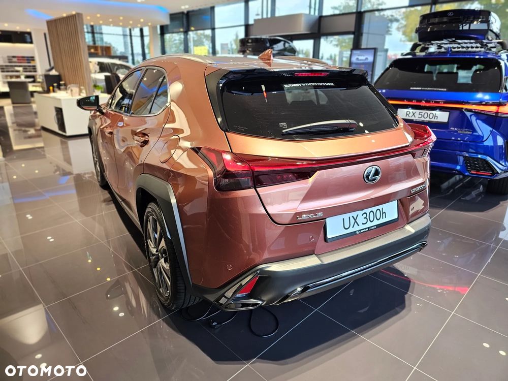 Lexus UX 300h F Sport Design - 3
