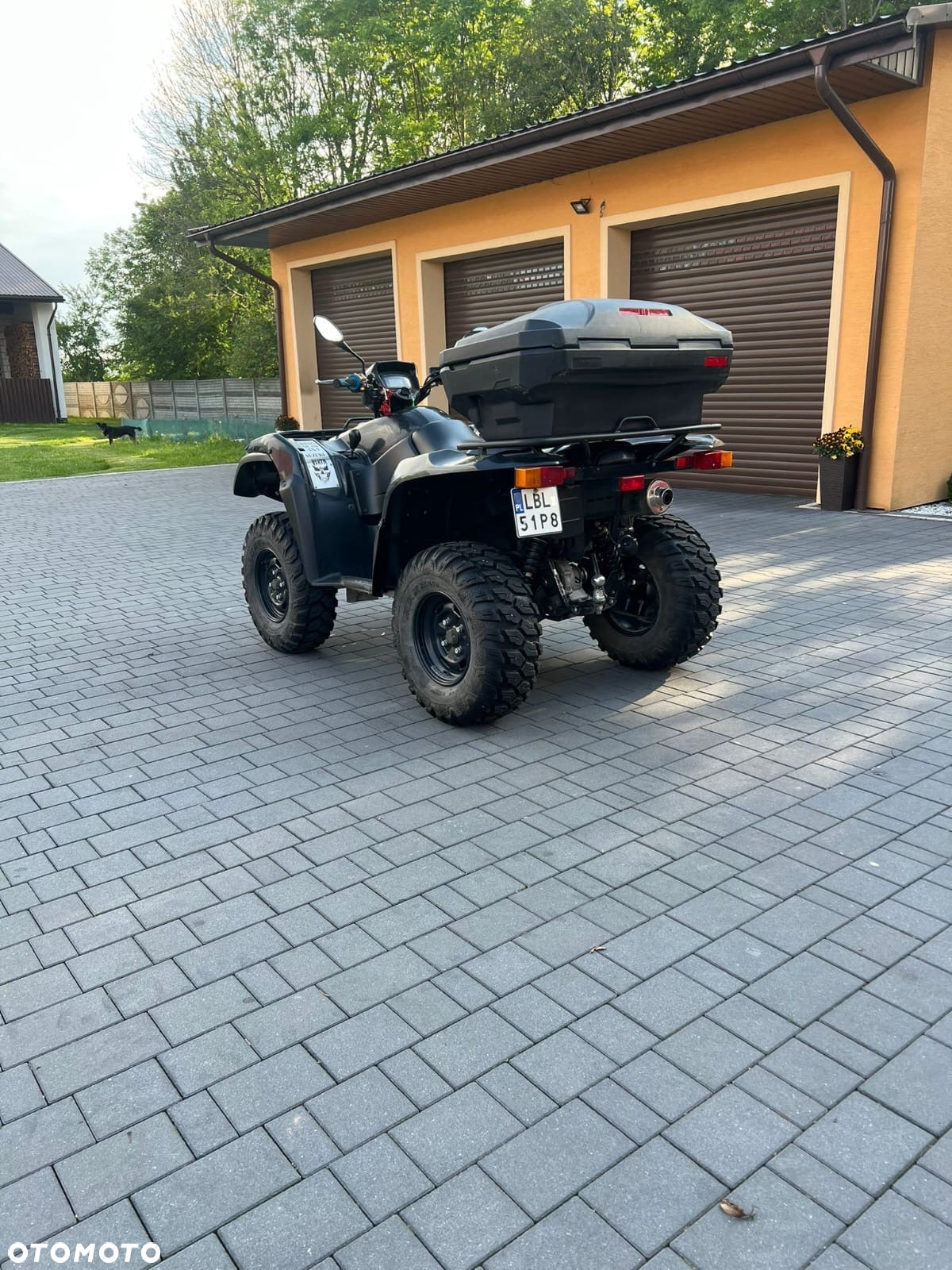 Suzuki Kingquad