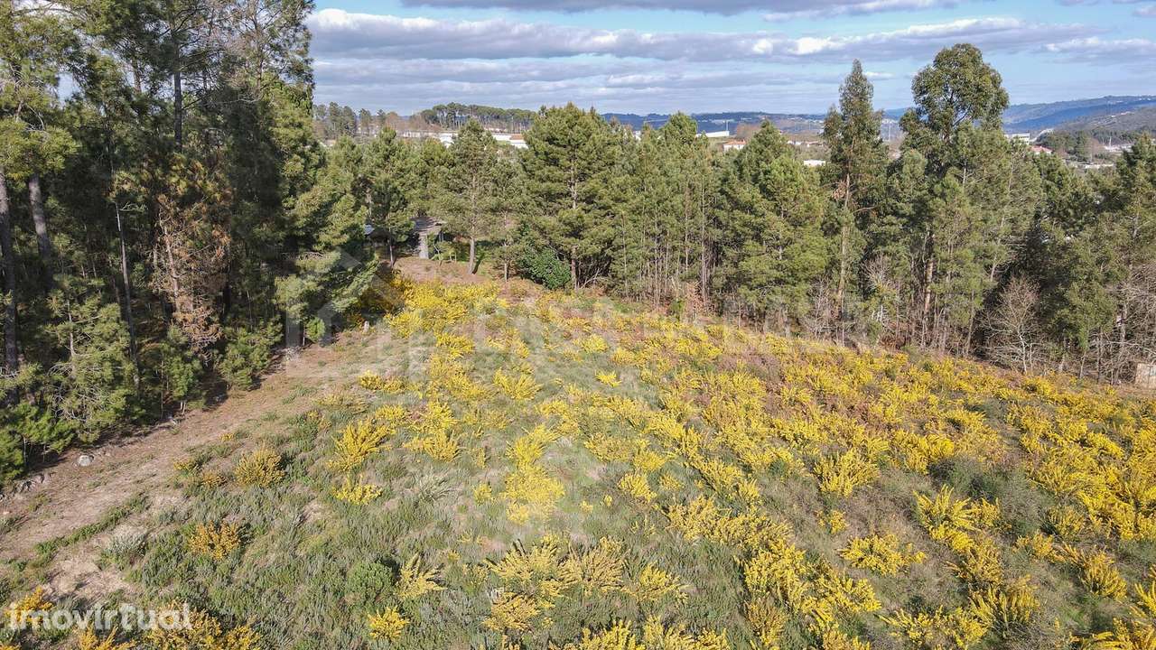 Terreno Construção Fragosela de Cima - Grande imagem: 2/10