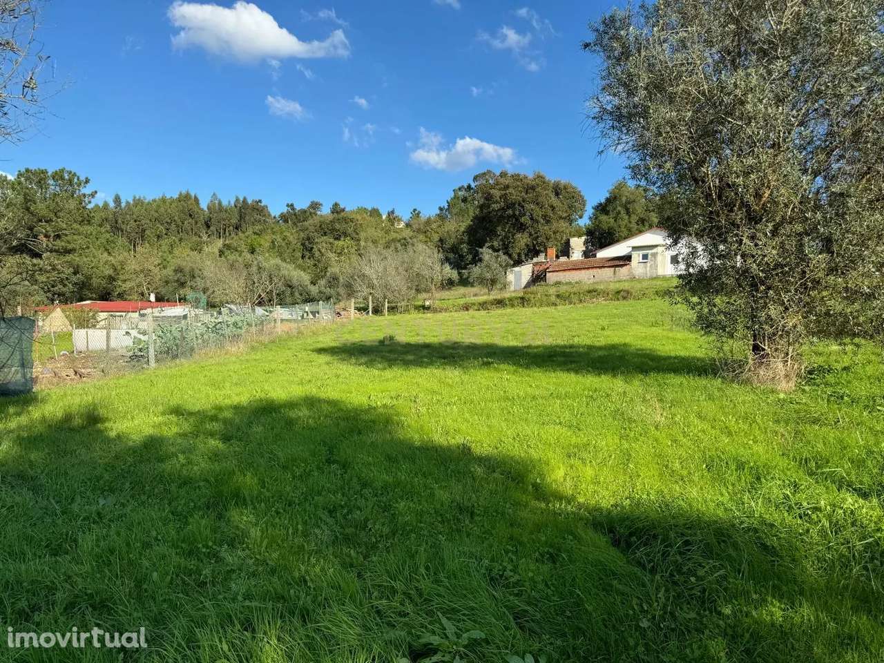 Moradia em ruina sita em Assanha da Paz - Grande imagem: 5/15