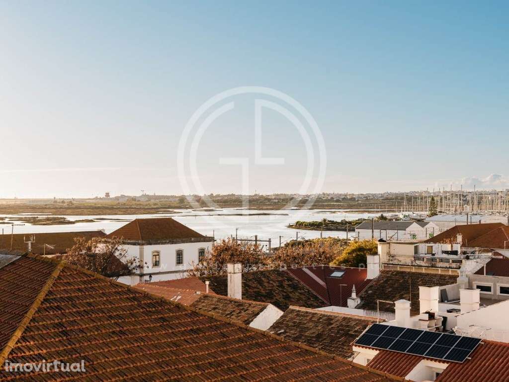 TERRA X - Grande imagem: 3/24