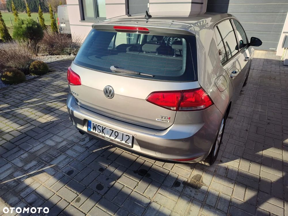 Volkswagen Golf - 16