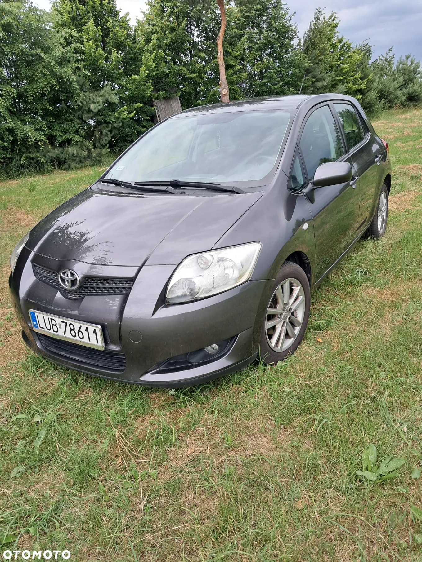 Toyota Auris 1.33 VVT-i Terra - 2
