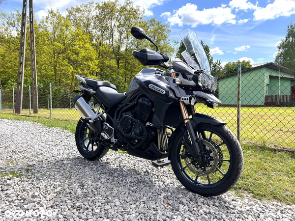 Triumph Tiger
