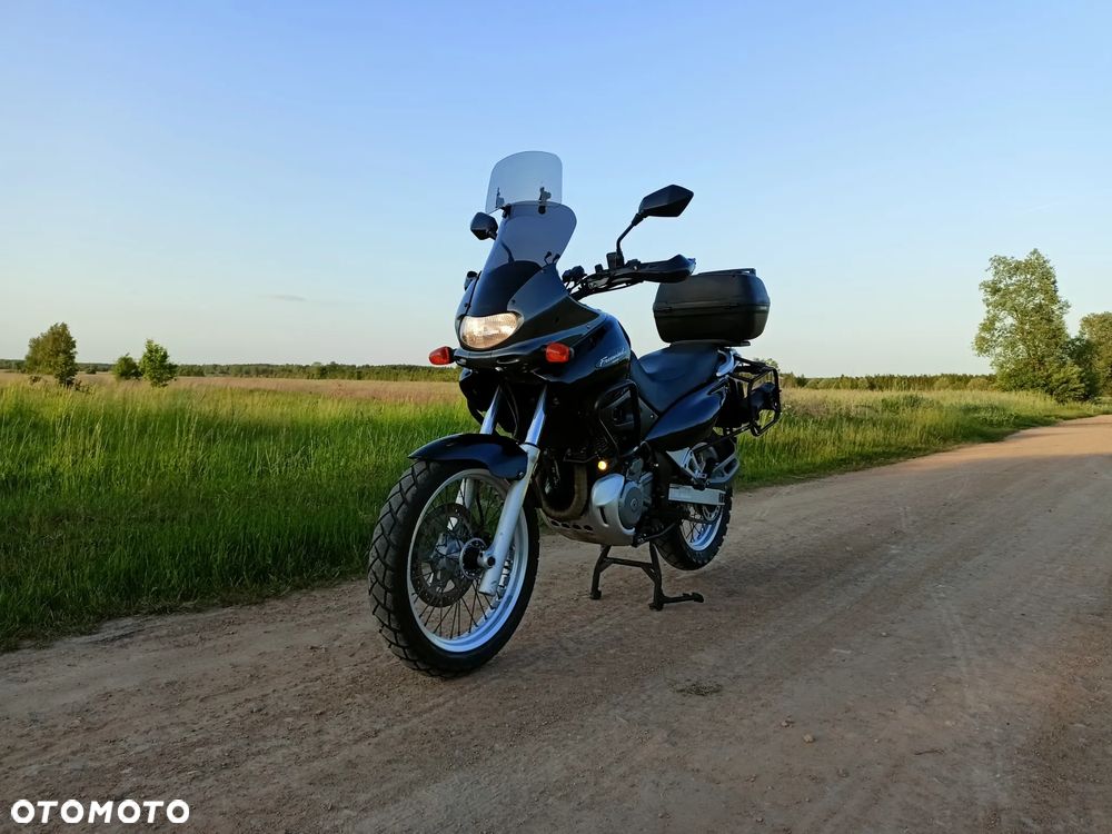 Suzuki XF - 1
