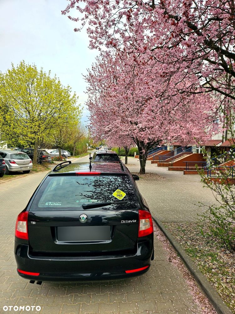 Skoda Octavia 1.4 TSI Active - 5