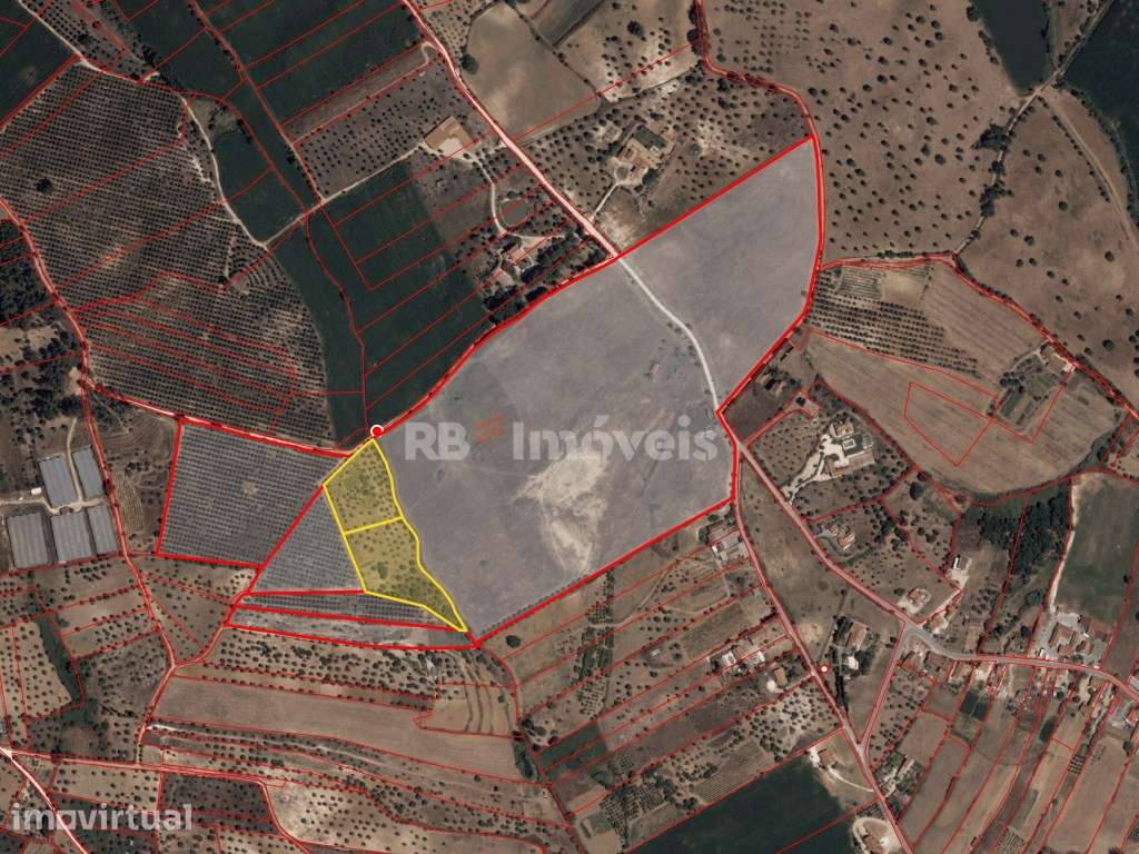 2 Terrenos Rústicos com área total de 14.320 m2, na freguesia de Br... - Grande imagem: 4/5