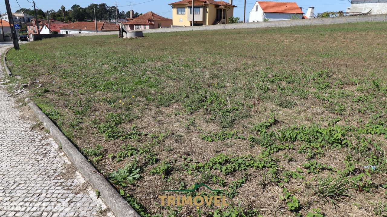 Terreno para Construção em Oliveira de Azeméis - Grande imagem: 5/8