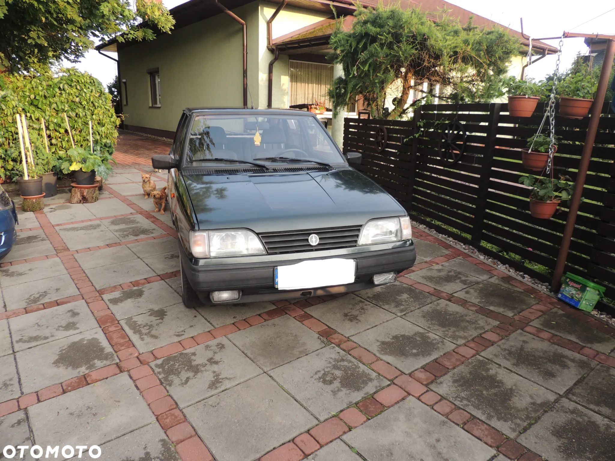 Polonez Caro - 1
