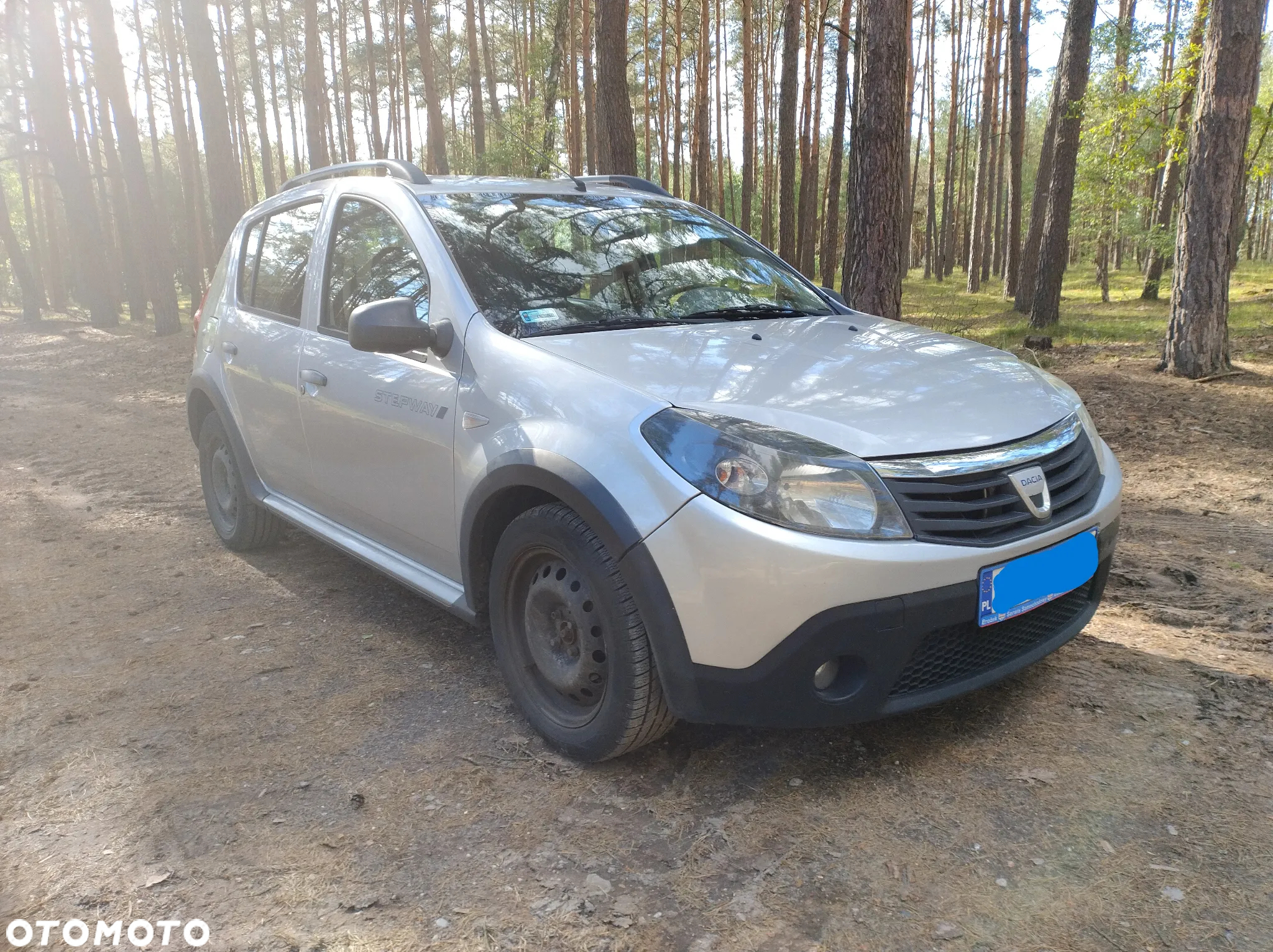 Dacia Sandero - 10