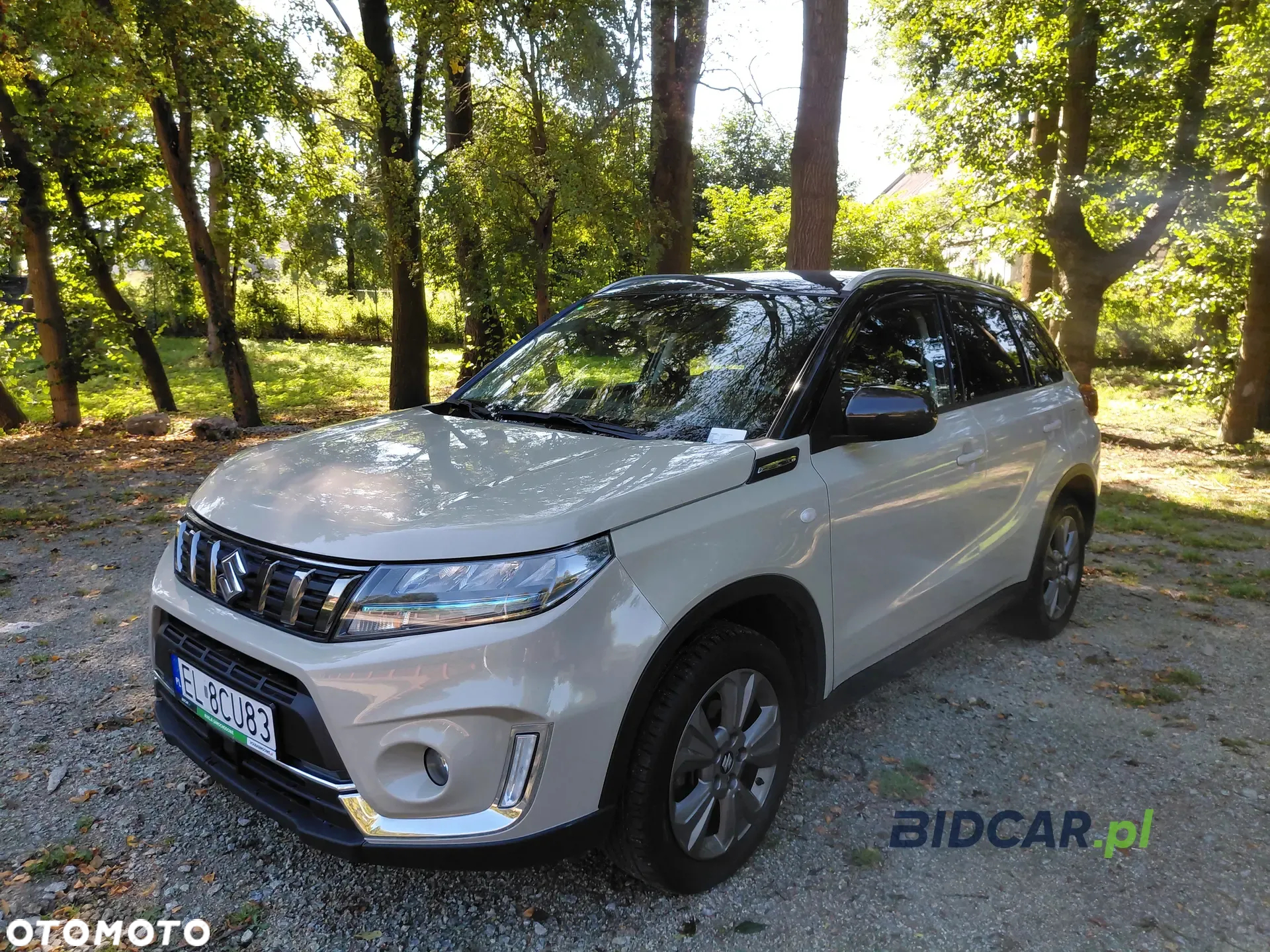 Suzuki Vitara 1.4 Boosterjet Premium 2WD - 2