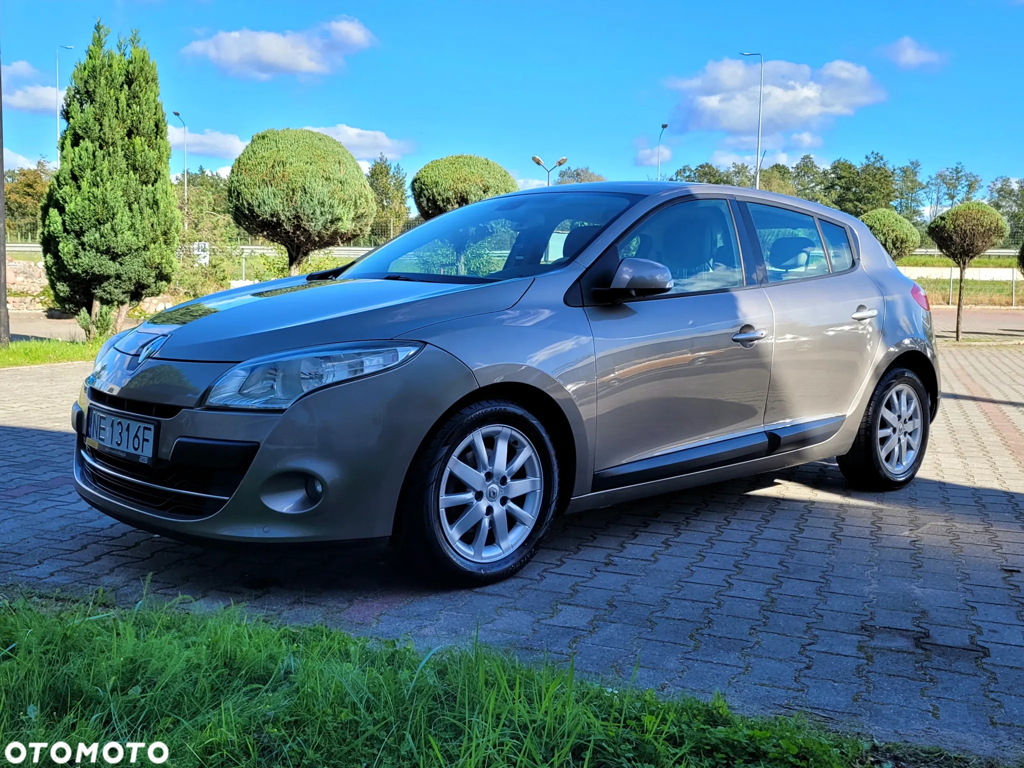 Renault Megane - 25