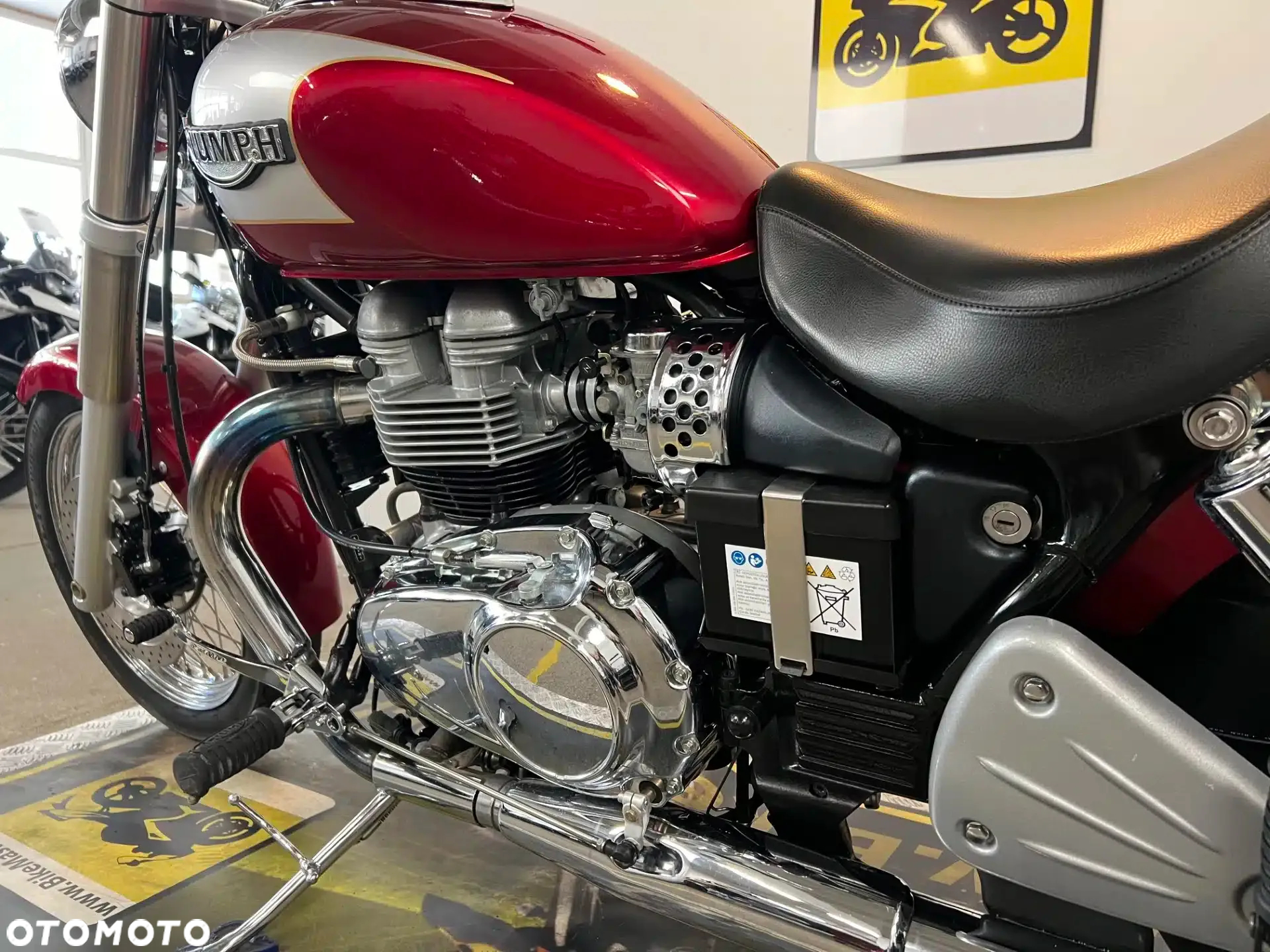 Triumph America - 31