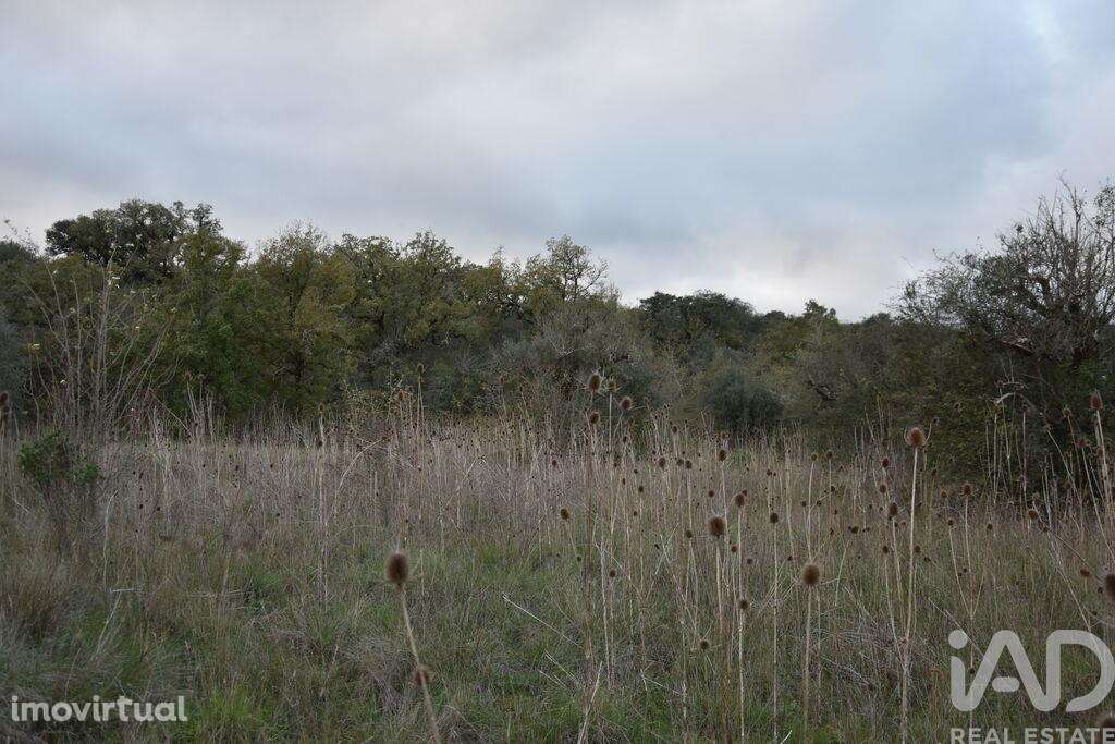 Terreno em Areias e Pias de 2560,00 m2 - Grande imagem: 5/14