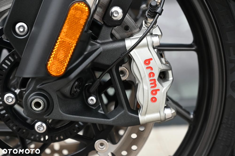 Triumph Tiger - 16