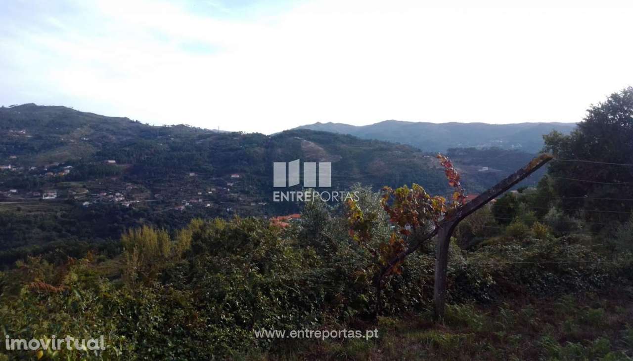 Venda Terreno com viabilidade de construção, Ancede, Baião - Grande imagem: 2/30
