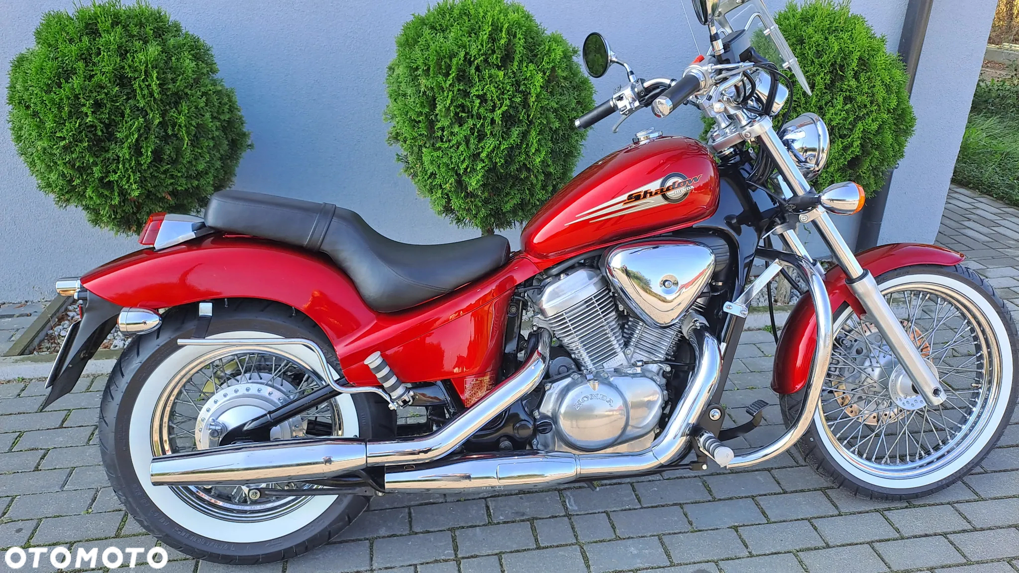Honda Shadow - 4