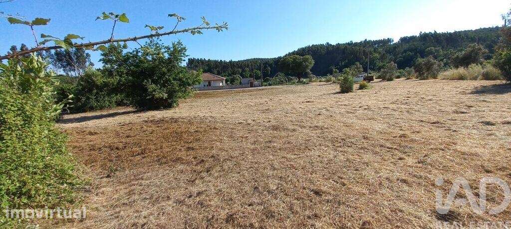 Terreno para construção em Graça - Grande imagem: 3/5