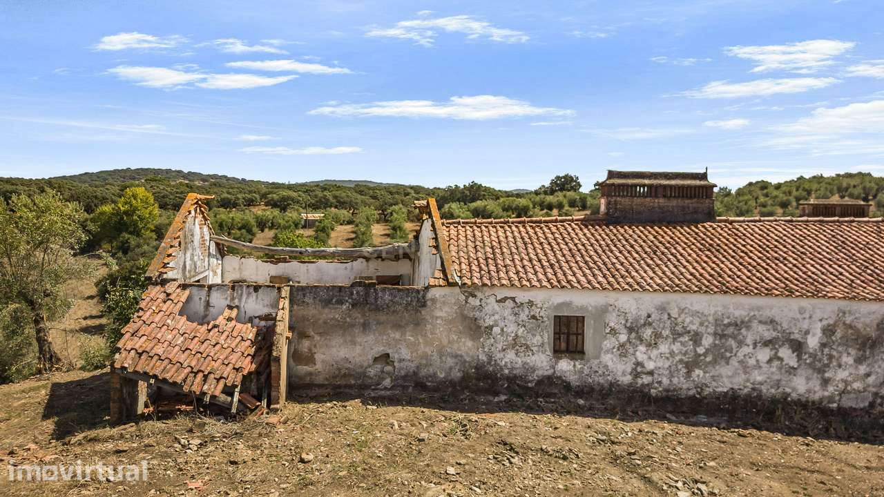 HERDADE COM 5,9 HECTARES, MORADIA E CAVALARIÇA | SANTIAGO DO ESCOURAL - Grande imagem: 4/36