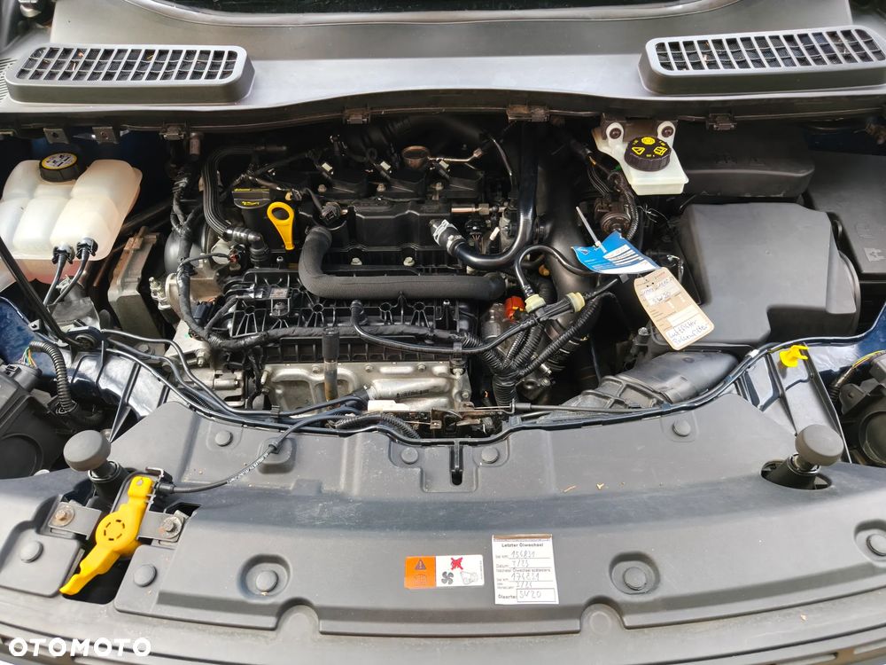 Ford Kuga 1.5 EcoBoost 2x4 Trend - 16