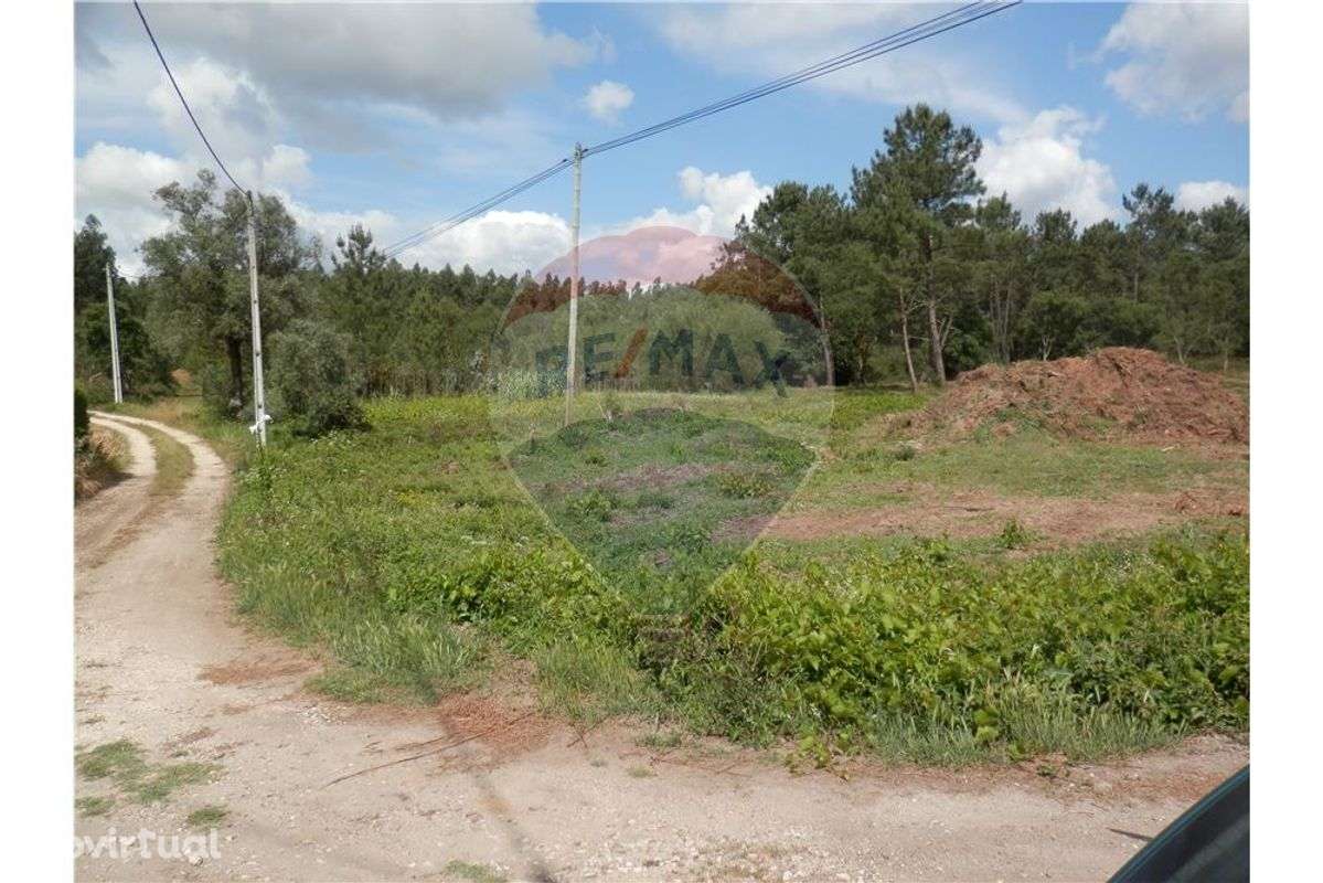 Terreno Rústico em Anadia - Grande imagem: 3/8