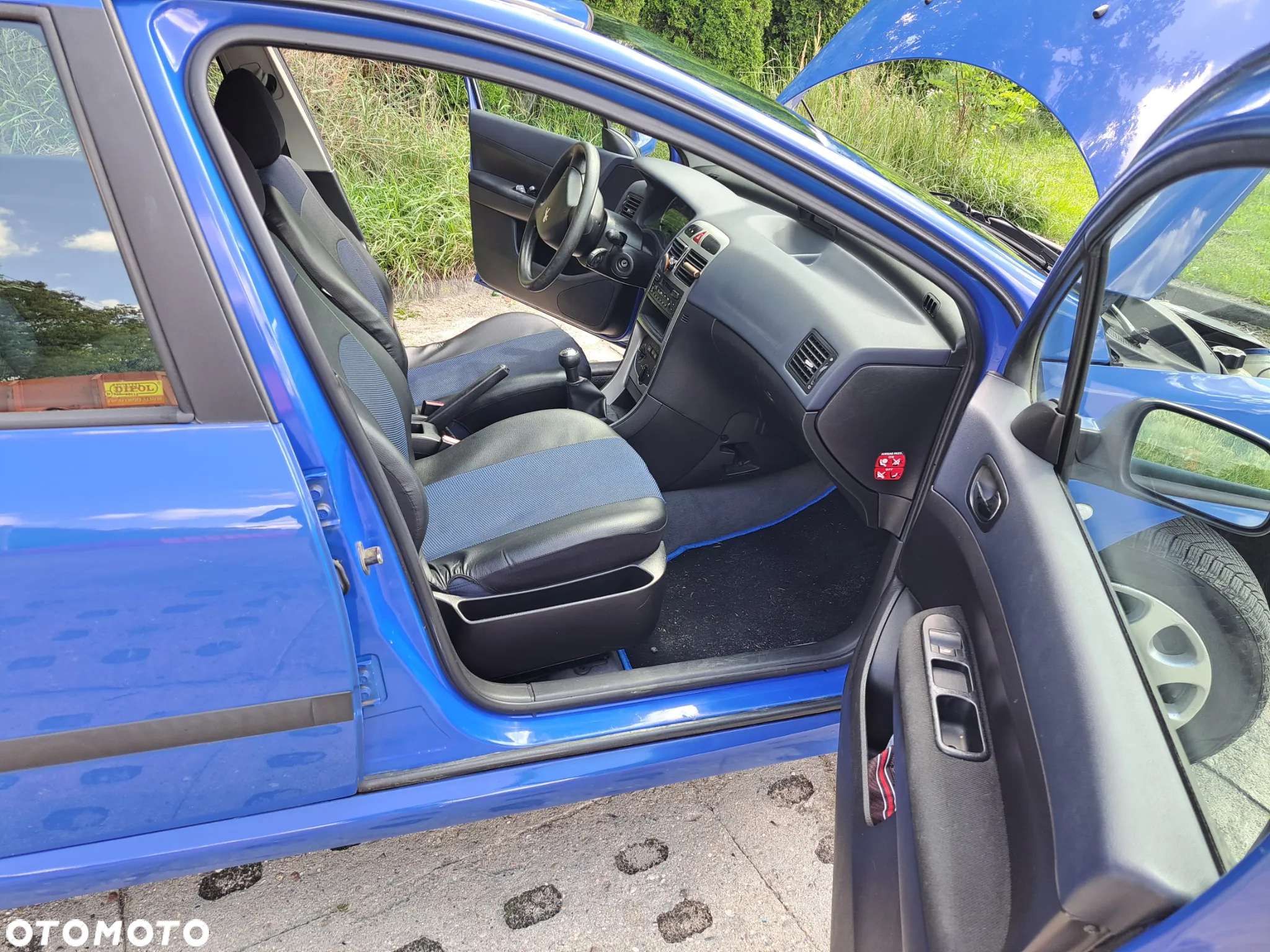 Peugeot 307 - 17