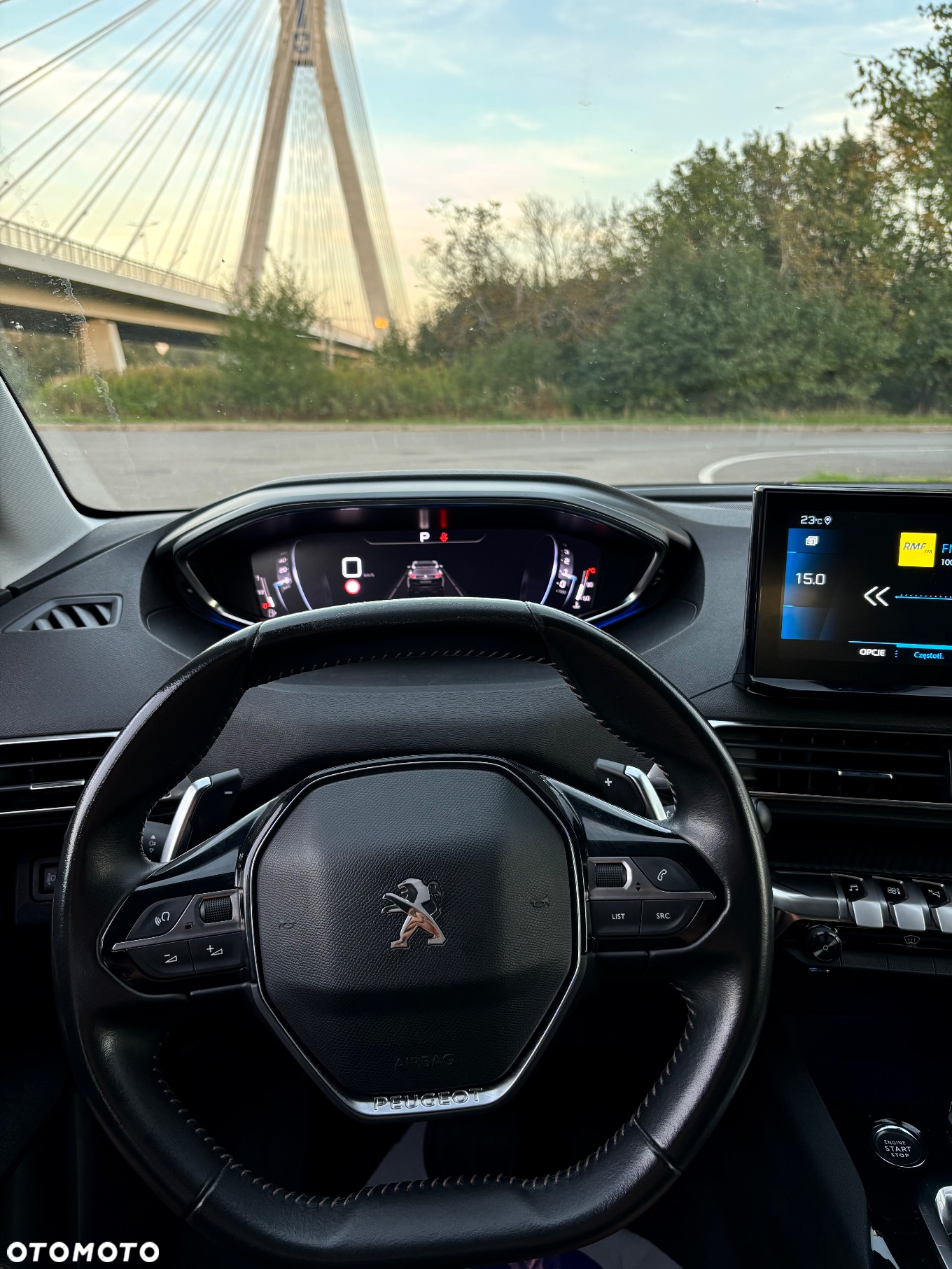 Peugeot 3008 1.5 BlueHDi Active Pack S&S EAT8 - 15
