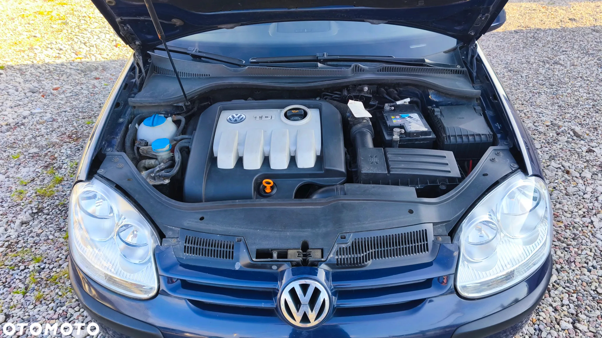 Volkswagen Golf - 32