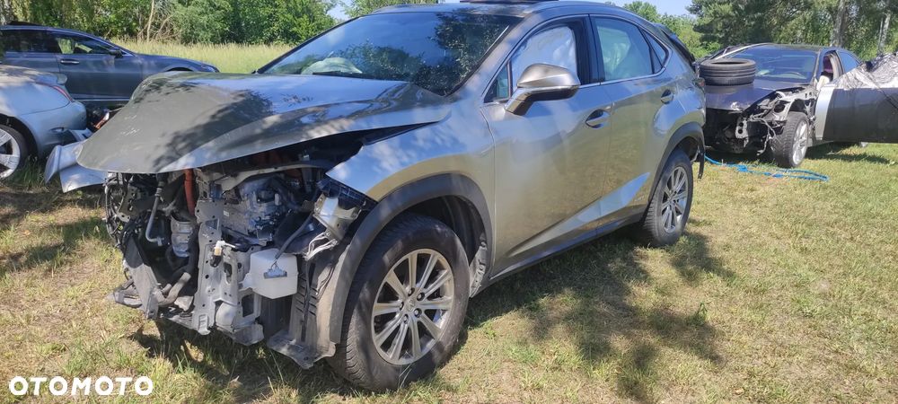 Lexus NX 300 AWD Luxury Line - 2