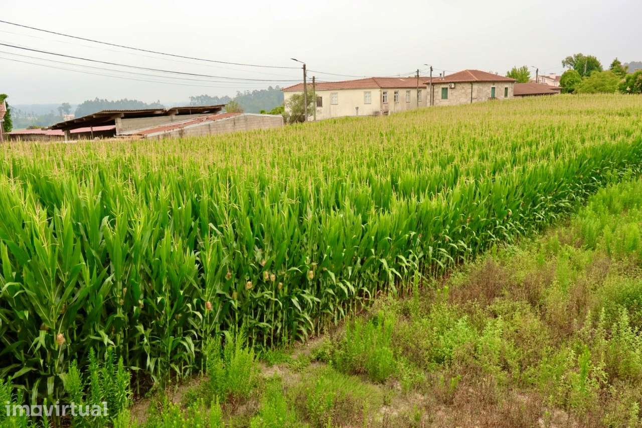 Terreno Urbano  Venda em Malta e Canidelo,Vila do Conde - Grande imagem: 3/7