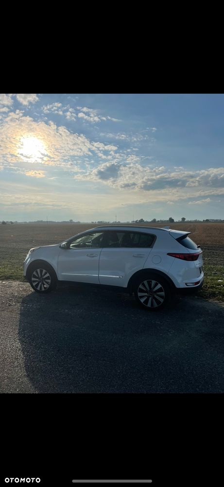 Kia Sportage - 1