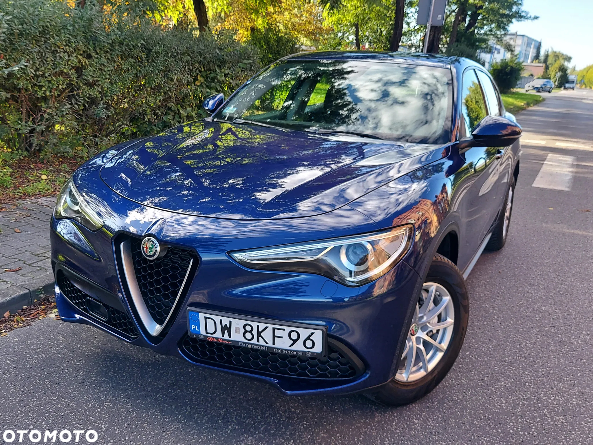 Alfa Romeo Stelvio 2.0 Turbo Q4 - 18